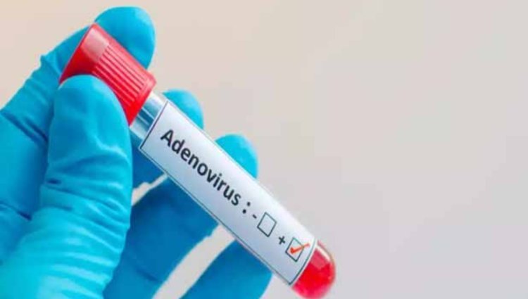Adenovirus News: বসন্তের শুরুতেই বাড়ছে সংক্রমণের প্রকোপ,  কপালে চিন্তার ভাঁজ স্বাস্থ্য বিশেষজ্ঞদের