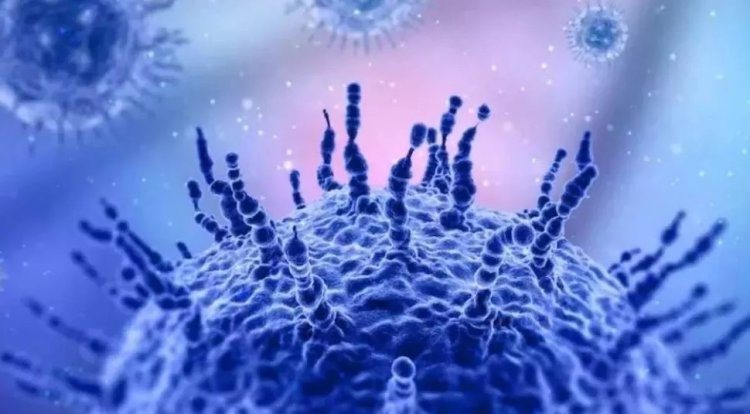 H3N2 संक्रमण असम तक पहुंचा, दिल्ली-गुजरात-महाराष्ट्र में भी दे दी दस्तक