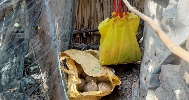 ভোটের আগে বোমার স্তুপে মুর্শিদাবাদ, রাস্তার ধার থেকে উদ্ধার ব্যাগভর্তি তাজা বোমা