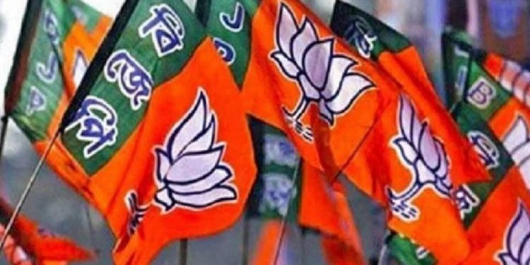 West Bengal News: বঙ্গে বিজেপির বিপর্যয়, হার নিয়ে অসন্তুষ্ট RSS