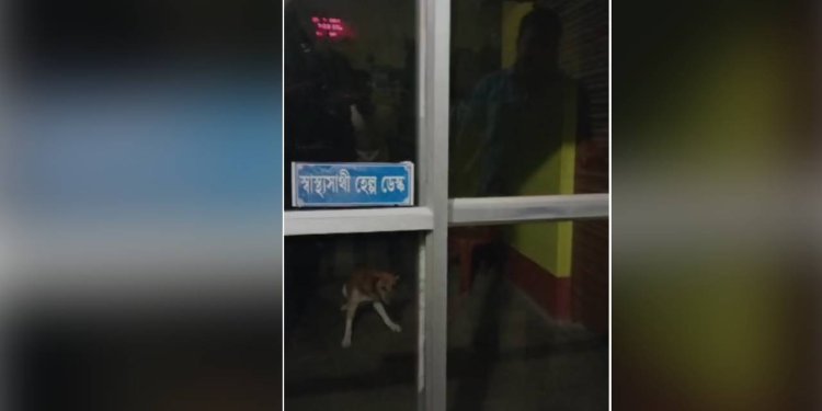 পঞ্চায়েত অফিসে আটকে পড়েও রক্ষা কুকুরের!