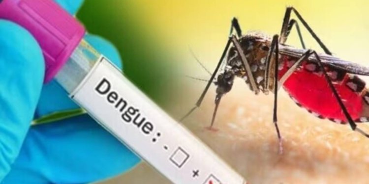 Dengue News: আউট ডোরে বাড়ছে জ্বরের রোগীদের ভিড়, শহরে ডেঙ্গির বলি ৩