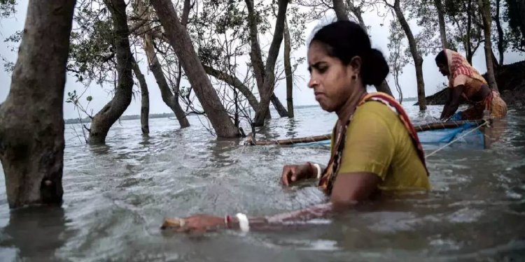 মীন ধরতে ঘণ্টার পর ঘণ্টার নদীতে, সুন্দরবনের মহিলাদের মধ্যে বাড়ছে চর্মরোগ