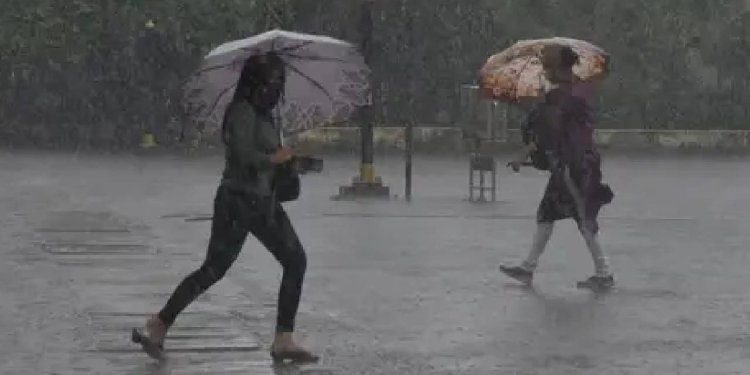 Rain Update News: ভারী বৃষ্টিতে  ভিজবে উত্তরবঙ্গ, দক্ষিণের একাধিক জেলায় তাপপ্রবাহের সতর্কতা