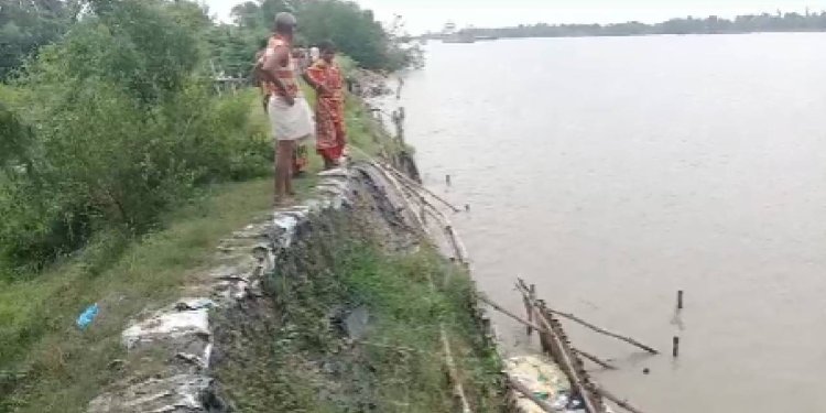 River Erosion:  প্রবল বৃষ্টিতে ফুঁসছে নদী, বাঁধ আগলে রেখেছেন গ্রামবাসীরা