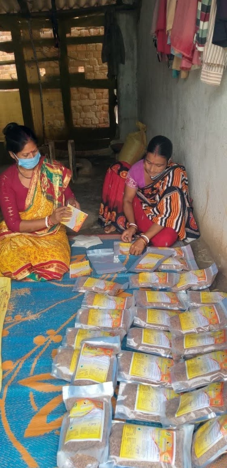 जमशेदपुर : बालीभूजोना किस्म का चावल सेहत के लिए फायदेमंद, संरक्षण एवं प्रोत्साहन के लिए आजीविका भूमिका नामित