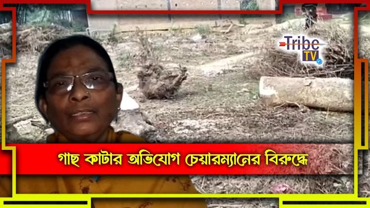 সরকারি গাছ বেআইনিভাবে বিক্রির অভিযোগ