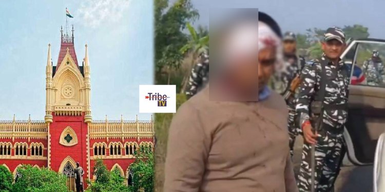 Sandeshkhali News: সন্দেশখালিকাণ্ডে সিট গঠনের নির্দেশ হাইকোর্টের