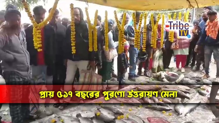প্রায় ৫১৭ বছরের পুরানো মাছের মেলায় উপচে পড়া ভিড়
