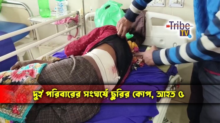 দুই পরিবারের সংঘর্ষে ছুরির কোপ, আহত ৫