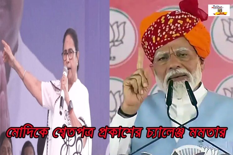 দুর্নীতি ইস্যুতে পাল্টা BJP-কে পাল্টা চ্যালেঞ্জ, কেন্দ্রকে শ্বেতপত্র প্রকাশের হুঁশিয়ারি মমতার