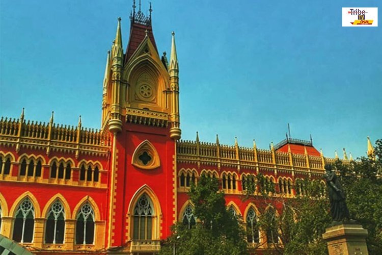 Aadhaar Update News: বৈধ নথি না দেখালেই বাতিল আধার কার্ড, কড়া বার্তা আদালতের