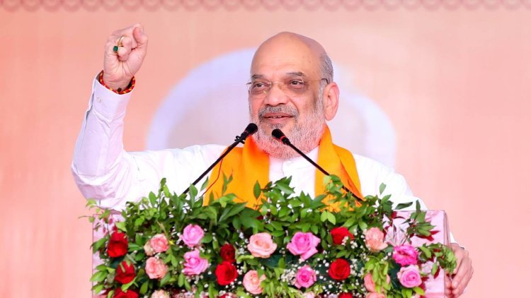 অনুপ্রবেশকারী মমতার ভোটব্যাঙ্ক, বাংলায় এসে শাহের আক্রমণের কেন্দ্রে তৃণমূল