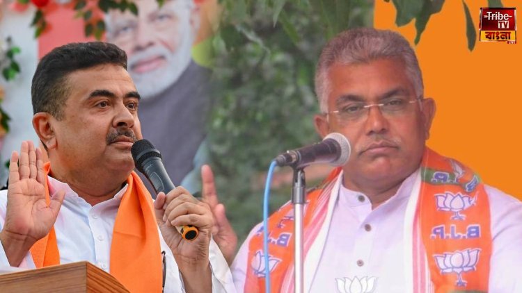 কলকাঠি নেড়েছেন শুভেন্দু! দিলীপের হারে দায়ি সংগঠনের ফাঁকফোকর