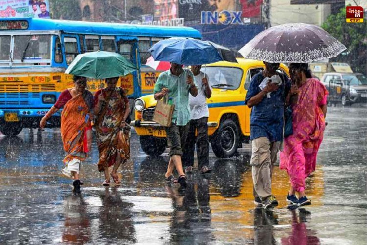 Heavy Rain News:  নিম্নচাপের অশনিসংকেত, দক্ষিণবঙ্গে অতিভারী বৃষ্টির পূর্বাভাস
