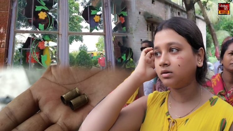 ভোটের আগের রাতে বিজেপির পোলিং এজেন্টের বাড়িতে দুষ্কৃতী হামলা, চলল গুলি