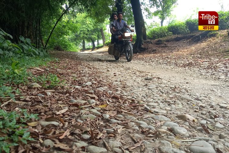 রাস্তা না থাকায় বাংলার এই গ্রামে বিয়ে হচ্ছে না ছেলে-মেয়েদের