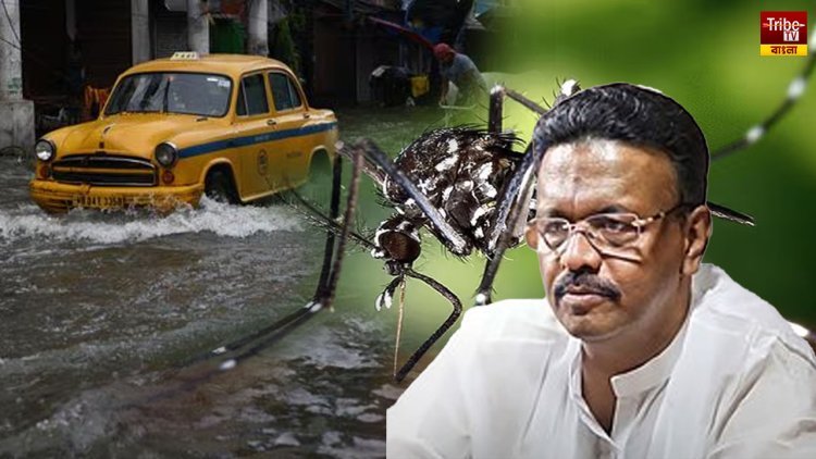 জলযন্ত্রণার মাঝেই শহরে ডেঙ্গু আতঙ্ক! মোকাবিলায় তৎপর পুরসভাও